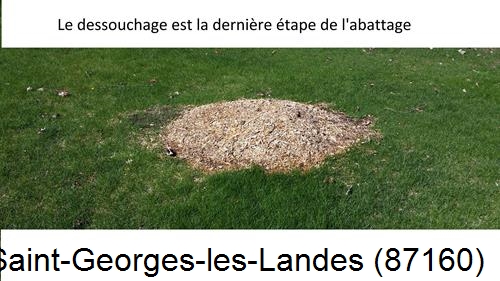 déssouchage d'arbres Saint-Georges-les-Landes-87160