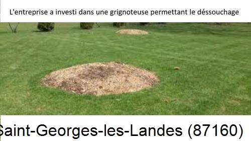 Artisan pour déssouchage d'arbres Saint-Georges-les-Landes-87160