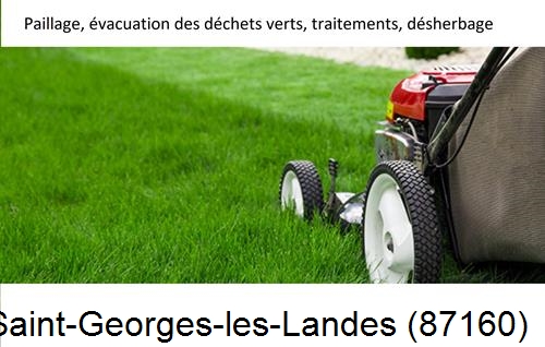 Entreprise de paysage pour entretien de jardin Saint-Germain-les-Belles-87380