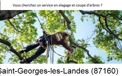 Etêtage d'arbres à Saint-Georges-les-Landes-87160
