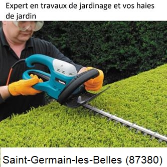 Taille et entretien jardin Saint-Germain-les-Belles-87380