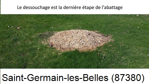 déssouchage d'arbres Saint-Germain-les-Belles-87380