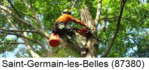 Déssouchage, étêtage d'arbres Saint-Germain-les-Belles-87380