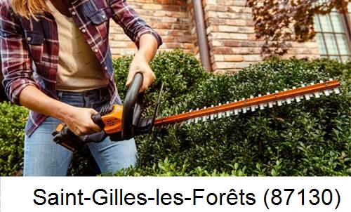 entretien jardin par paysagiste Saint-Gilles-les-Forêts-87130