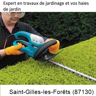 Taille et entretien jardin Saint-Gilles-les-Forêts-87130