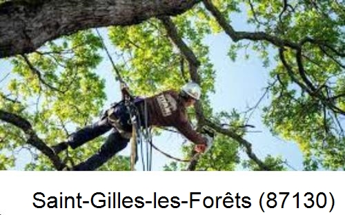 Abattage d'arbres chez un particulier Saint-Gilles-les-Forêts-87130