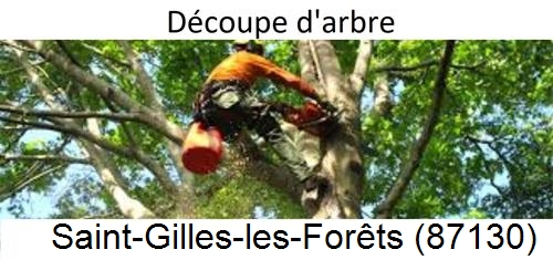 Entreprise du paysage Saint-Gilles-les-Forêts-87130