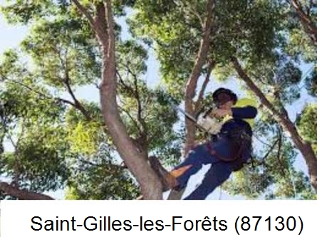 Elagueur à Saint-Gilles-les-Forêts-87130
