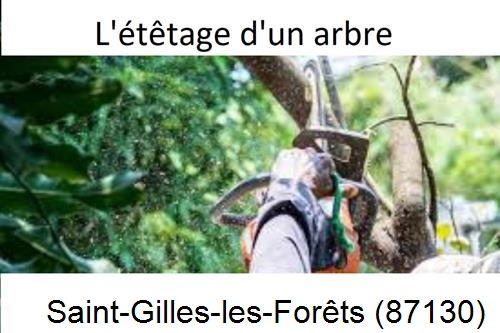 Artisan Abatteur d'arbres Saint-Gilles-les-Forêts-87130