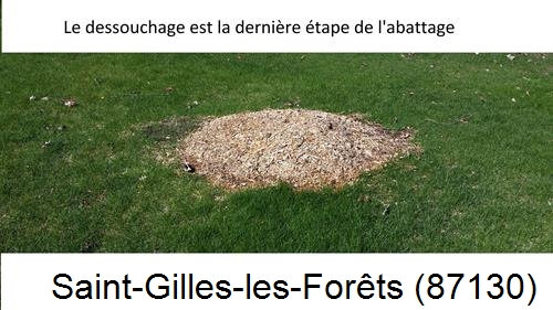 déssouchage d'arbres Saint-Gilles-les-Forêts-87130