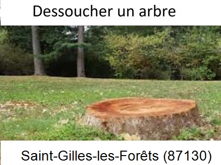 Travaux d'entretien extérieur Saint-Gilles-les-Forêts-87130