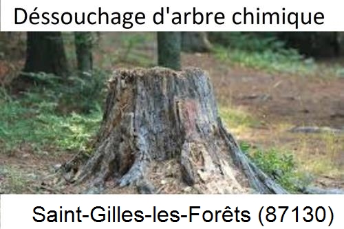 Elagueur déssouchage à Saint-Gilles-les-Forêts-87130