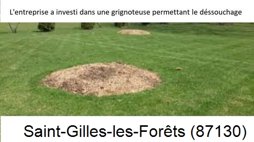 Artisan pour déssouchage d'arbres Saint-Gilles-les-Forêts-87130
