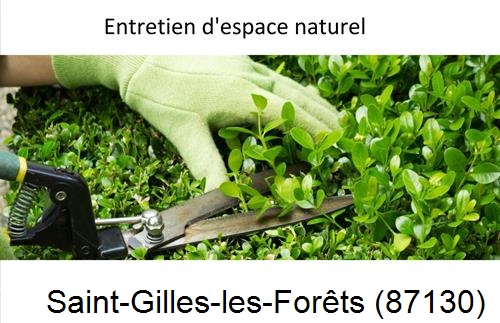 Rénovation jardin particulier Saint-Hilaire-Bonneval-87260