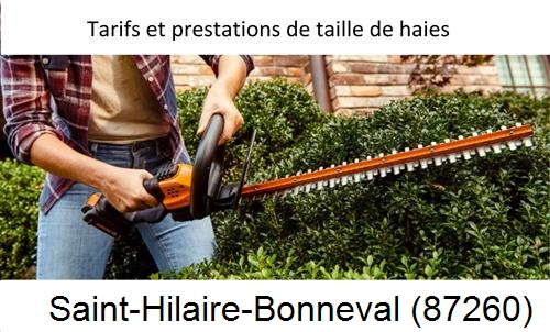 taille de haies Saint-Hilaire-Bonneval-87260