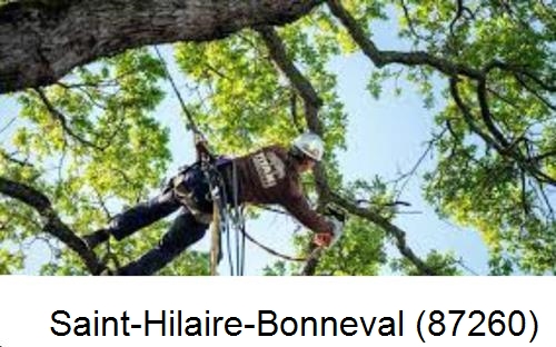 Abattage d'arbres chez un particulier Saint-Hilaire-Bonneval-87260