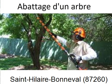 Etêtage et abattage d'un arbre Saint-Hilaire-Bonneval-87260