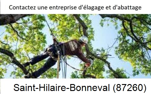 Travaux d'élagage à Saint-Hilaire-Bonneval-87260
