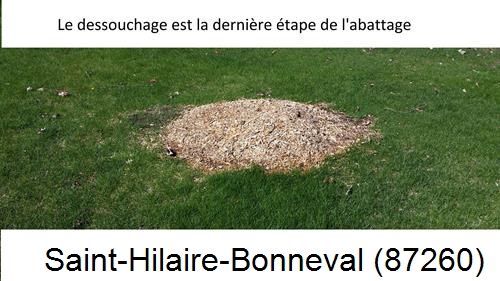 déssouchage d'arbres Saint-Hilaire-Bonneval-87260