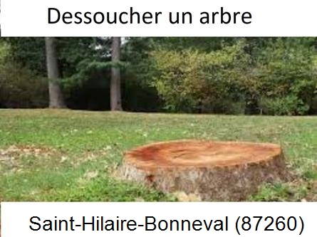 Travaux d'entretien extérieur Saint-Hilaire-Bonneval-87260