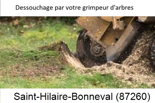abattage d'arbres à Saint-Hilaire-Bonneval-87260