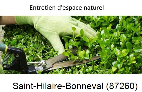 Rénovation jardin particulier Saint-Hilaire-la-Treille-87190