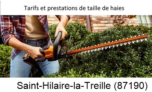 taille de haies Saint-Hilaire-la-Treille-87190