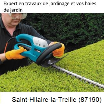 Taille et entretien jardin Saint-Hilaire-la-Treille-87190