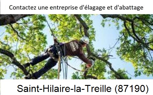 Travaux d'élagage à Saint-Hilaire-la-Treille-87190