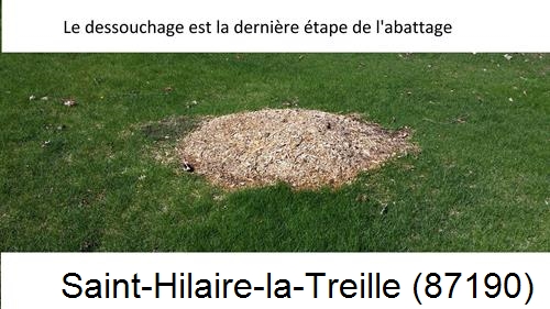 déssouchage d'arbres Saint-Hilaire-la-Treille-87190