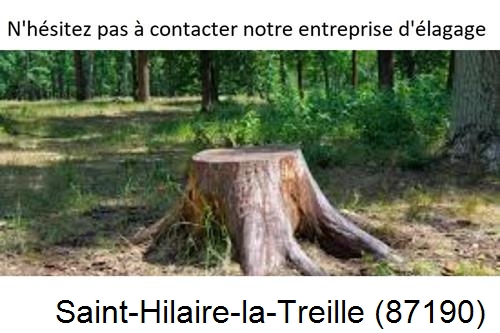 Elagage d'arbres à Saint-Hilaire-la-Treille-87190