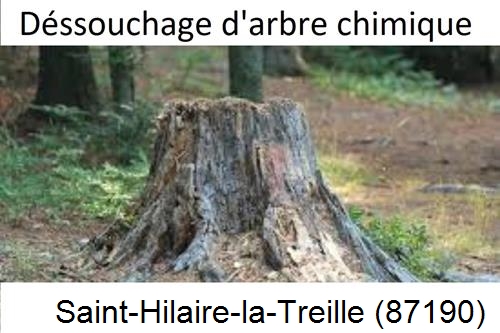 Elagueur déssouchage à Saint-Hilaire-la-Treille-87190