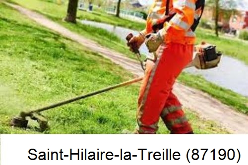 Entretien d'un jardin Saint-Hilaire-les-Places-87800