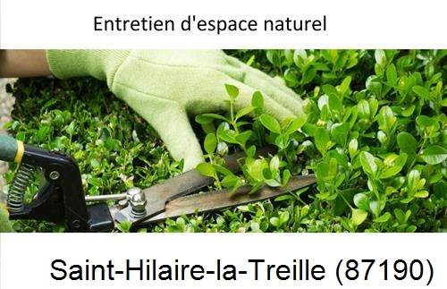 Rénovation jardin particulier Saint-Hilaire-les-Places-87800