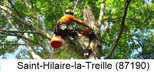 Déssouchage, étêtage d'arbres Saint-Hilaire-la-Treille-87190