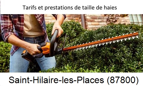 taille de haies Saint-Hilaire-les-Places-87800