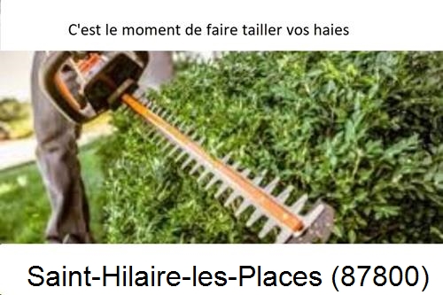 Entreprise de paysage Saint-Hilaire-les-Places-87800