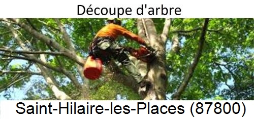 Entreprise du paysage Saint-Hilaire-les-Places-87800