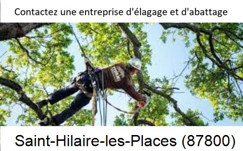 Travaux d'élagage à Saint-Hilaire-les-Places-87800