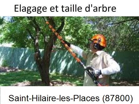 Elagage chez particulier Saint-Hilaire-les-Places-87800