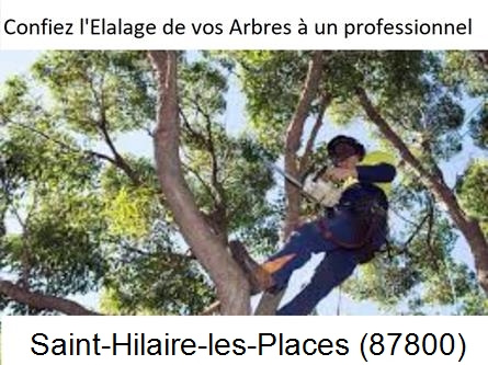 Société d'élagage à Saint-Hilaire-les-Places-87800
