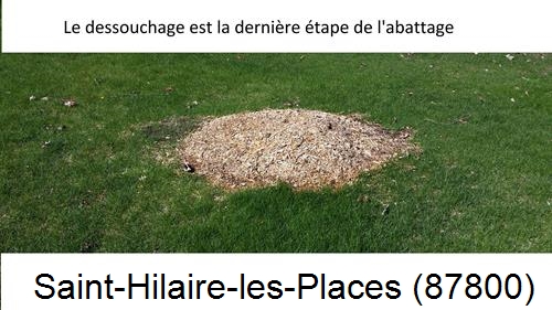 déssouchage d'arbres Saint-Hilaire-les-Places-87800