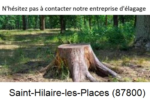 Elagage d'arbres à Saint-Hilaire-les-Places-87800