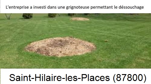 Artisan pour déssouchage d'arbres Saint-Hilaire-les-Places-87800