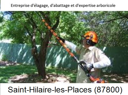 Coupe tête d'arbres Saint-Hilaire-les-Places-87800