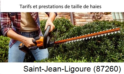 taille de haies Saint-Jean-Ligoure-87260