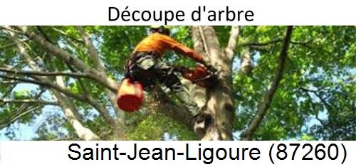 Entreprise du paysage Saint-Jean-Ligoure-87260