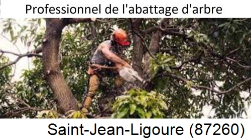 Elagage d'arbres Saint-Jean-Ligoure-87260