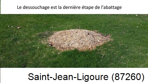 déssouchage d'arbres Saint-Jean-Ligoure-87260