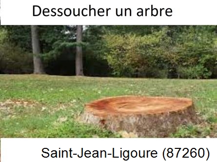 Travaux d'entretien extérieur Saint-Jean-Ligoure-87260
